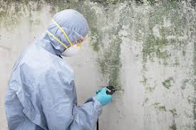 Best Attic Mold Removal  in Badger, AK